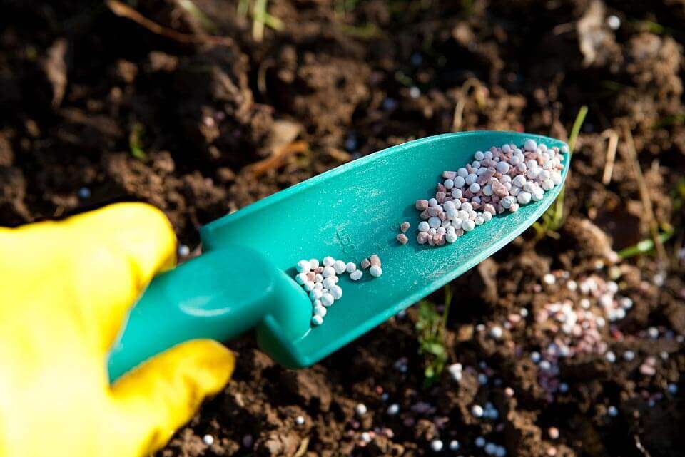 Хелатирующие агенты: ключевая сила для устойчивого и эффективного сельскохозяйственного производства