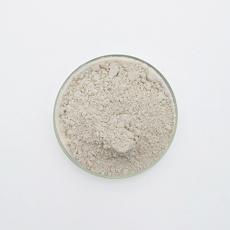 Гипсовый замедлитель (WN-721)